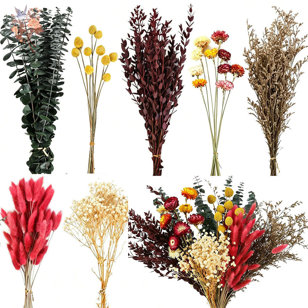 Supply For Florist - Kurutulmuş Çiçeklerden Oluşan 7 Çeşitlik Toplu