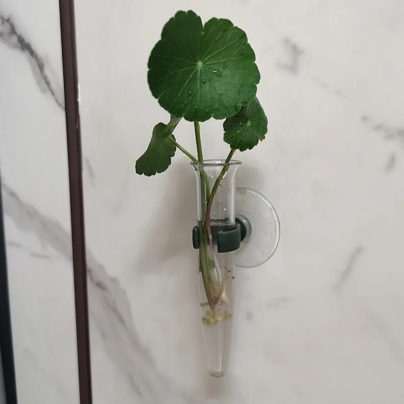 11cm Çiçek Su Tüpleri Plastik  - Supply For Florist incelemesi ve fiyatı