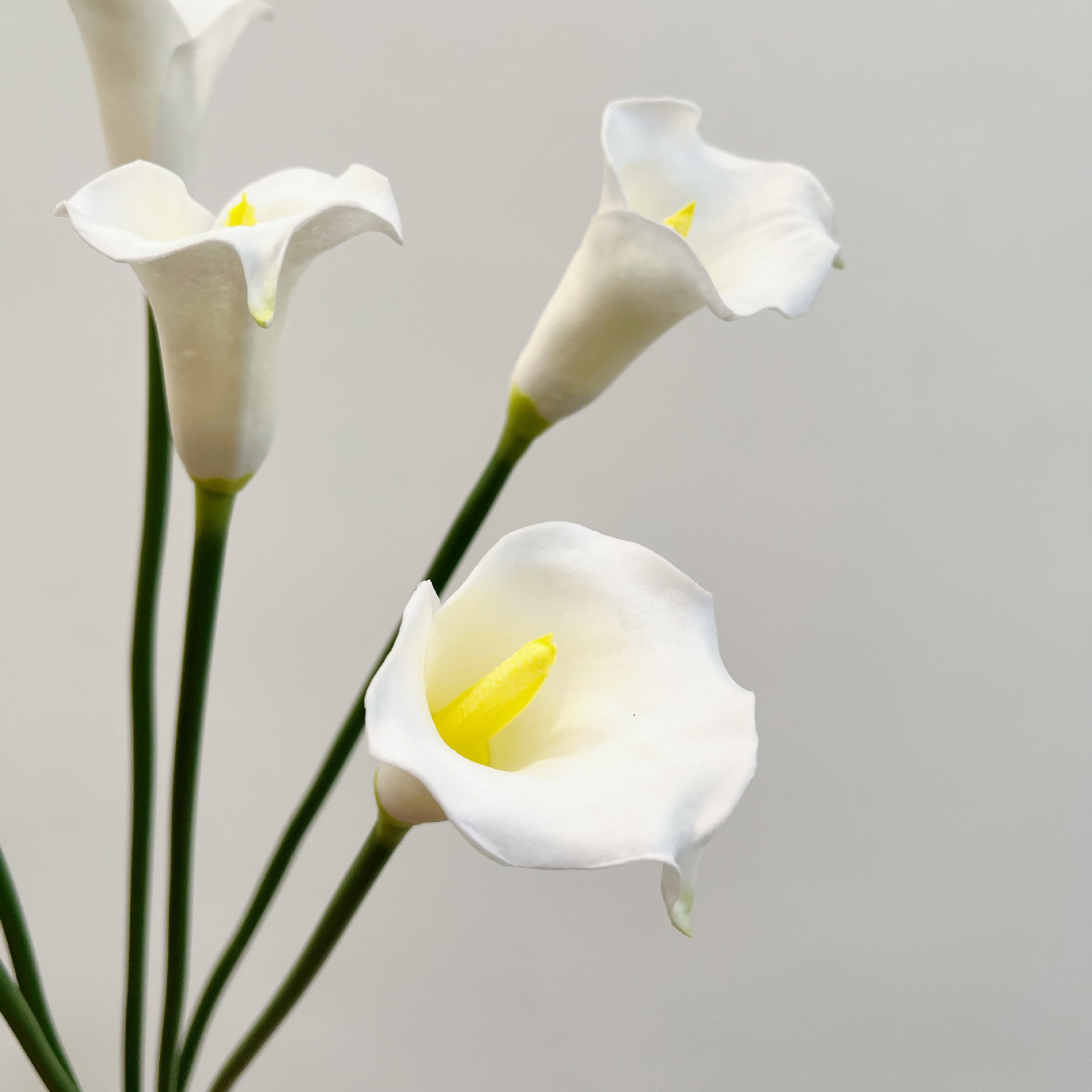 26 inç Tek Saplı Hilal Şeklind - Supply For Florist incelemesi ve fiyatı
